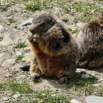 Mountain Bliss Duplex - Fee Апартаменти