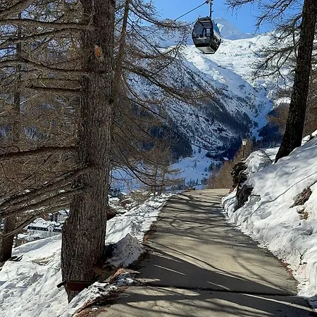 Mountain Bliss Duplex - Fee 아파트 *